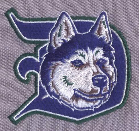 Isew Emcad Embroidery Software Pattern Design System Easy to Learn